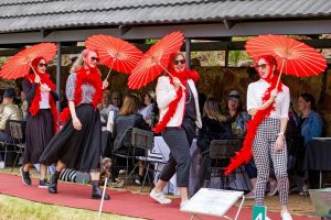 Rooi tapyt parade (23) Rooi tapyt parade (23)